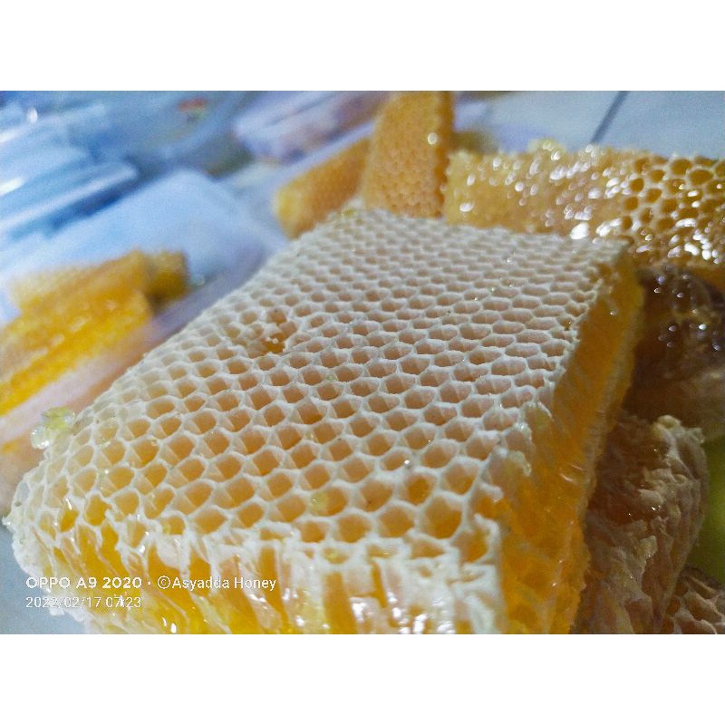 

PROMO 250 gram Madu Sarang Melifera Asli Murni