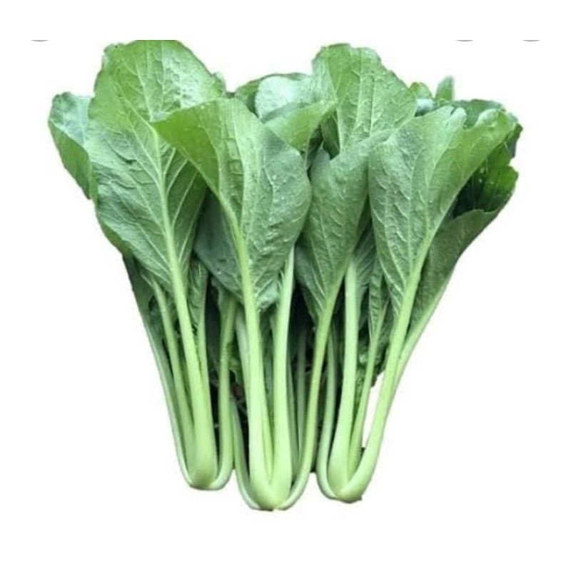 

CAISIM PER IKAT SAYUR SEGAR PALEMBANG