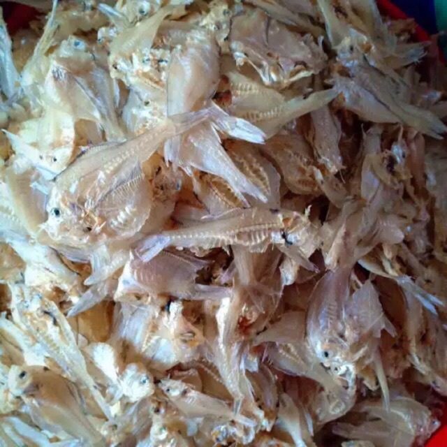 Jual Ikan tipis / kertas tawar / pakkang ( 500 gram ) | Shopee Indonesia