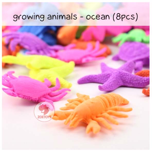 Zoetoys Waterbeads high quality / growing animal / hewan hydrogel orbeez / water beads | edutoys | sensory toys