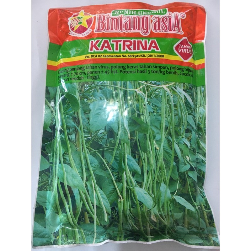 Benih kacang panjang KATRINA