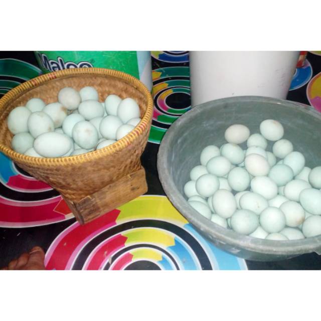 

selain lezat dan nikmat telur bebek jg mengandung banyak vitamin bagi tubuh