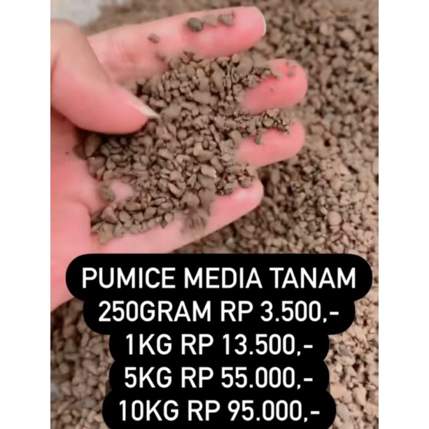 Pumice Batu Apung Media Tanam Kaktus 1kg