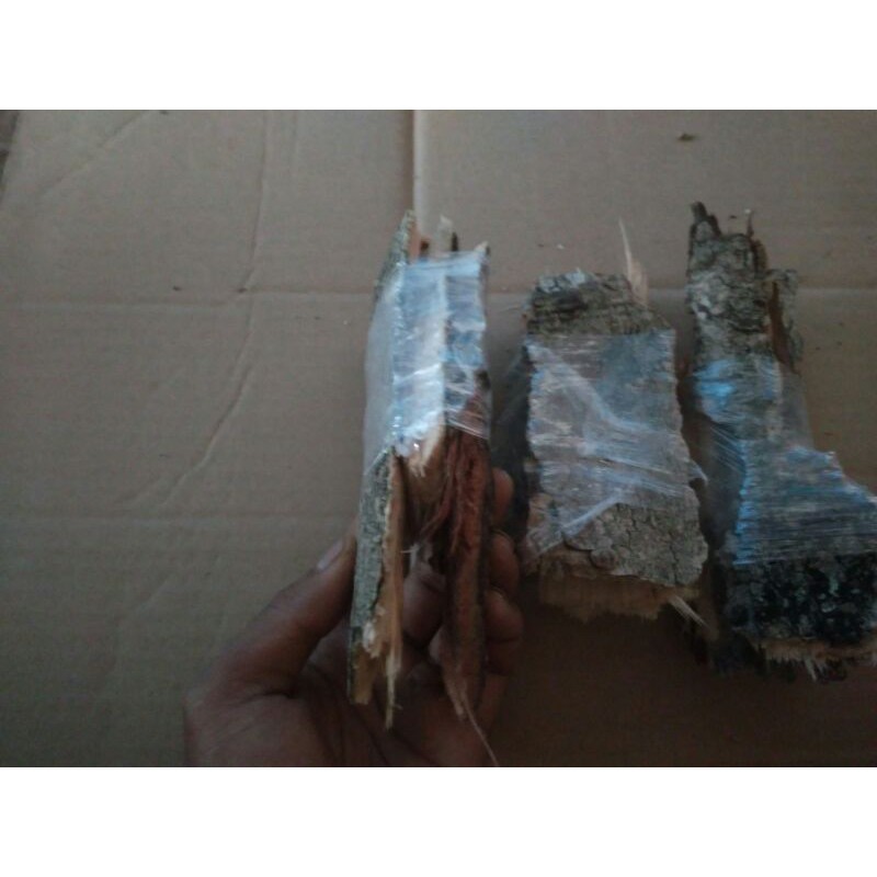 jual kulit jamblang obat herbal