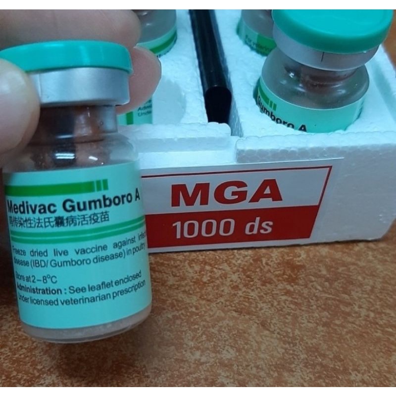 Medivac gumboro A 1000 dosis