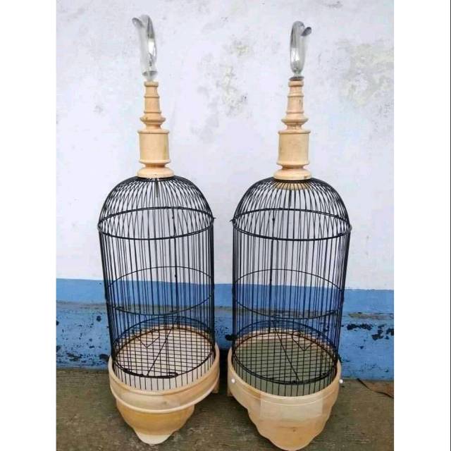 Tebok pleci mentahan