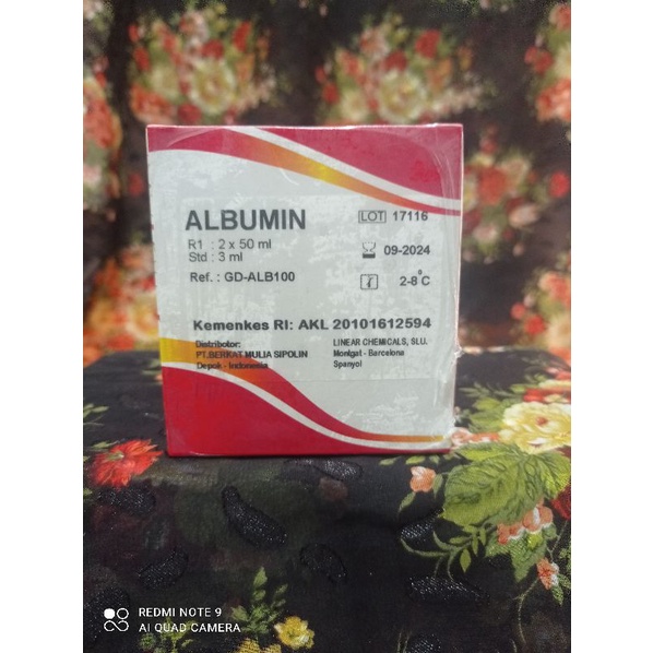Reagen Albumin 2x50ml Albumin 100ml Glory Diagnostic exp 2027-08