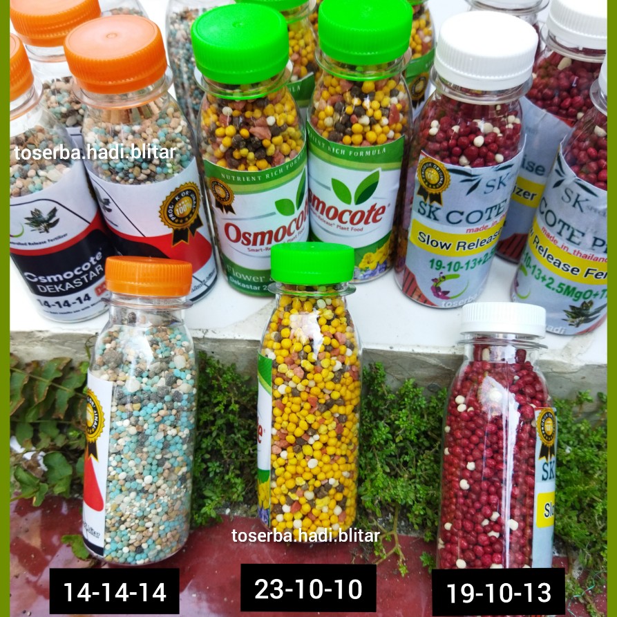 osmocote 14 14 14 100g, dekastar 23 10 10/pupuk slow release 20-20-20/pupuk sr/pupuk aglonema/metan 