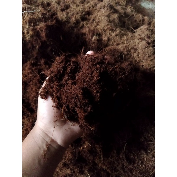 cocopeat (cocopit)