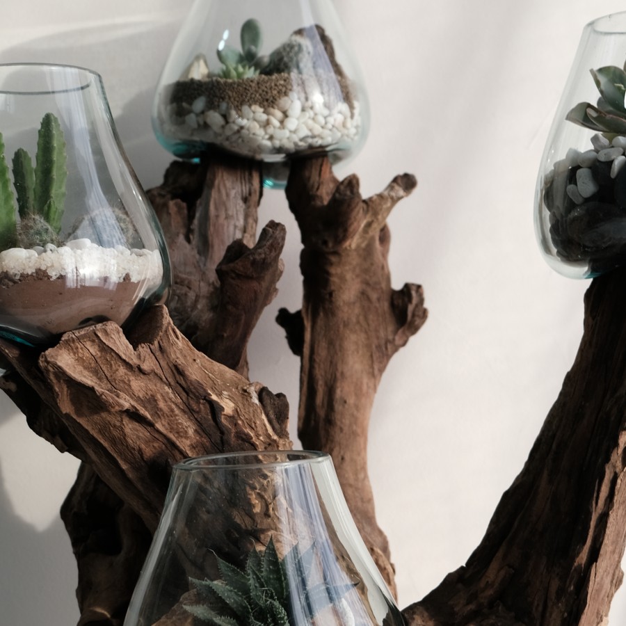 AKUARIUM IKAN CUPANG 4 IN ONE SIZE 15CM KAYU AKAR AQUARIUM - TINGKAT 4