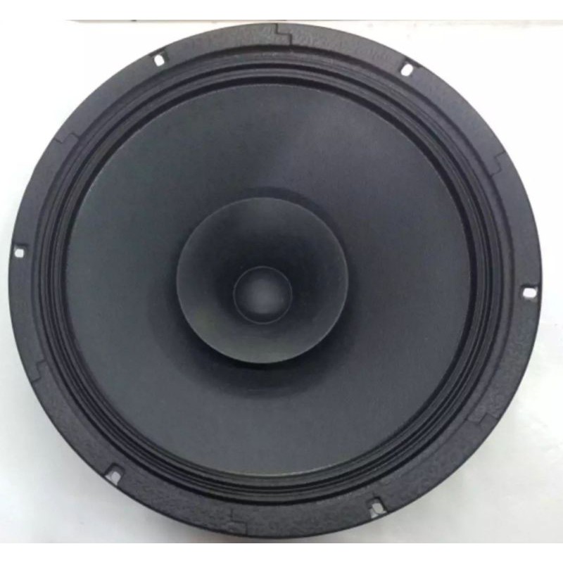 speaker ads 12 inch full range 1250