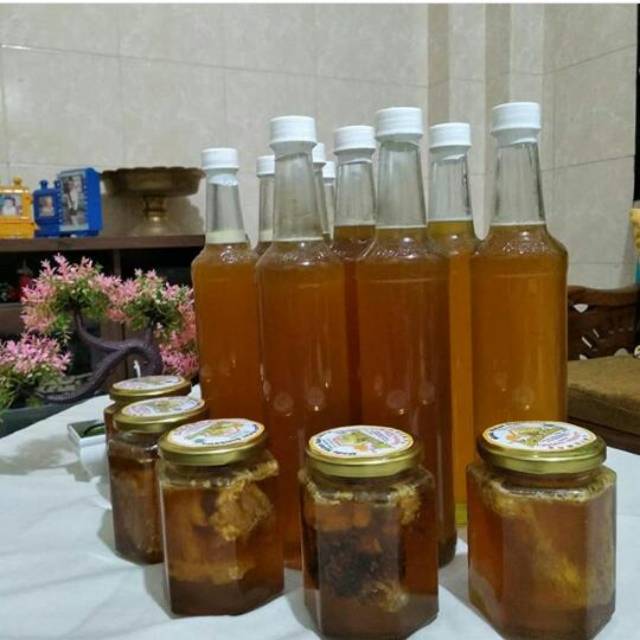 

Madu Hutan Sumbawa Murni