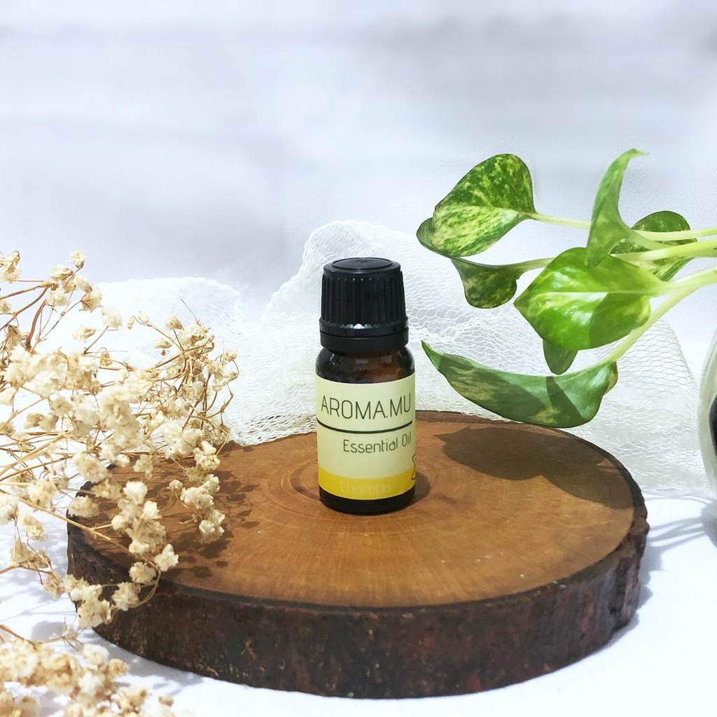 Essential Oil Champa Bunga Elise 10 Ml  Aromaterapi Diffuser - Pengharum Ruangan