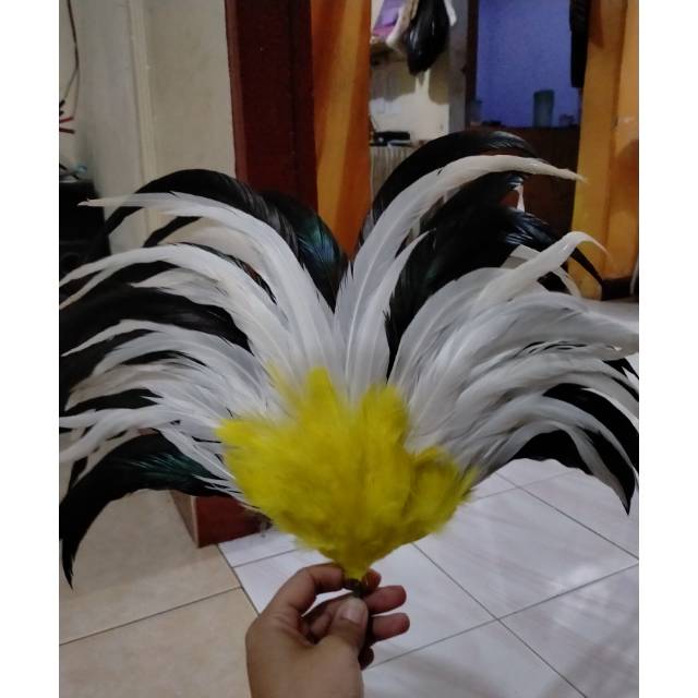 Aksesoris marching band bulu tebal
