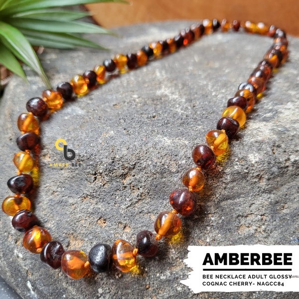 Kalung Amber Dewasa Premium Glossy Cognac Cherry by Amber Bee NAGCC84