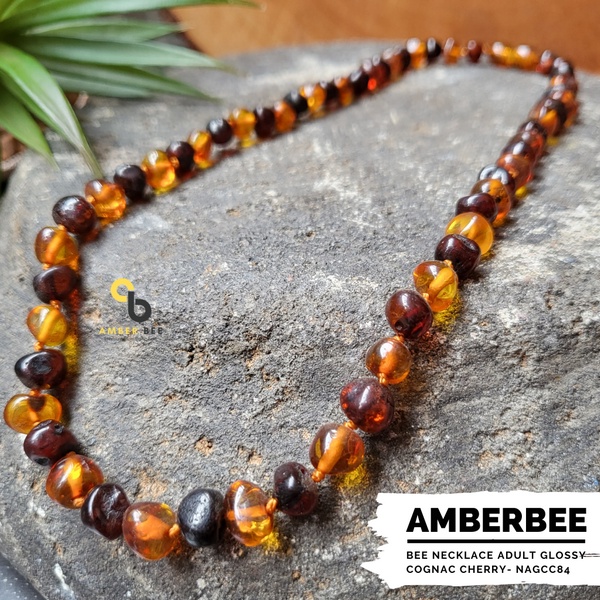 Kalung Amber Dewasa Premium Glossy Cognac Cherry by Amber Bee NAGCC84