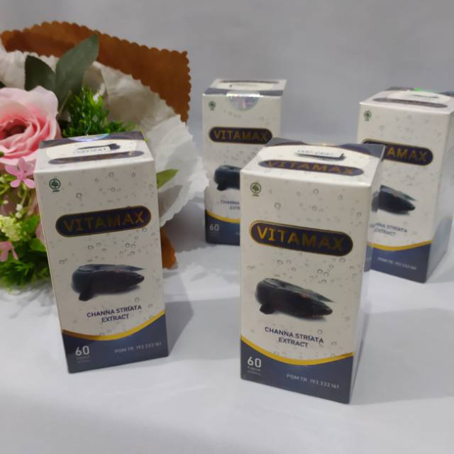 Vitamax / kapsul ekstrak ikan gabus / kutuk / albumin