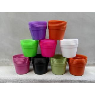  POT  KAKTUS  SUKULEN 10CM POT  BUNGA  MINI  Shopee Indonesia