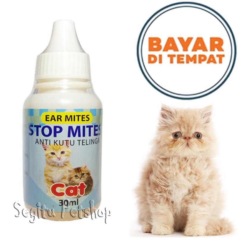 OBAT SAKIT  TELINGA KUCING KUTU ANTI  SAKIT KUPING KUCING STOP MITES