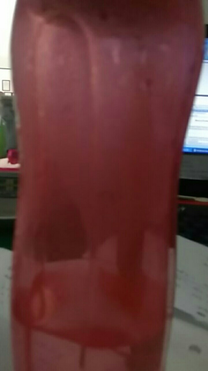 Blender Portable Atau Blender Juice Portable Simple Atau Blender Multifungsi