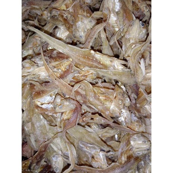 

ikan bulu ayam /ikan kerupuk
