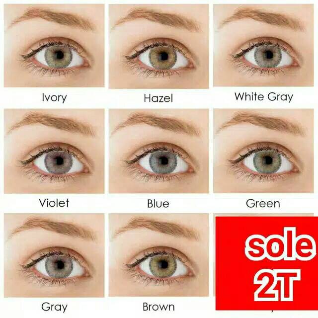 Softlens Nobly Roze Lazada Indonesia