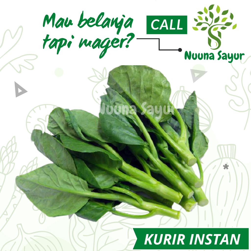 

KAILAN KALE CALLE 250 gram SAYURAN SEGAR