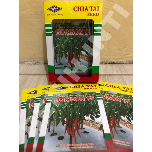 Benih Cabai Merah Besar Hibrida Super HORISON 97 Tahan Layu Anti Virus bukan IMOLA