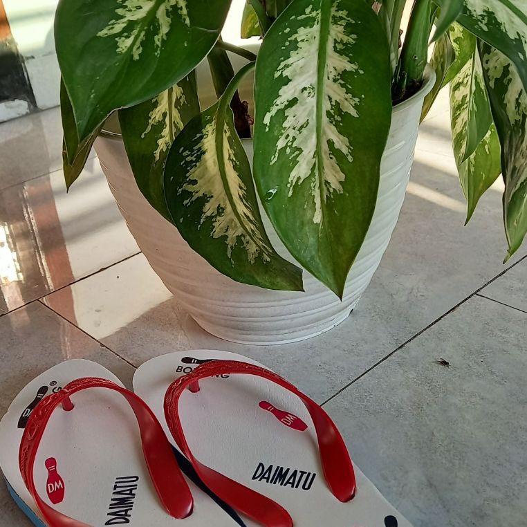 Sandal jepit Sandal jepit murah sandal murah fashion pria Sandal jepit daimatu bowling ‑ PMP.26Au22ᴱ