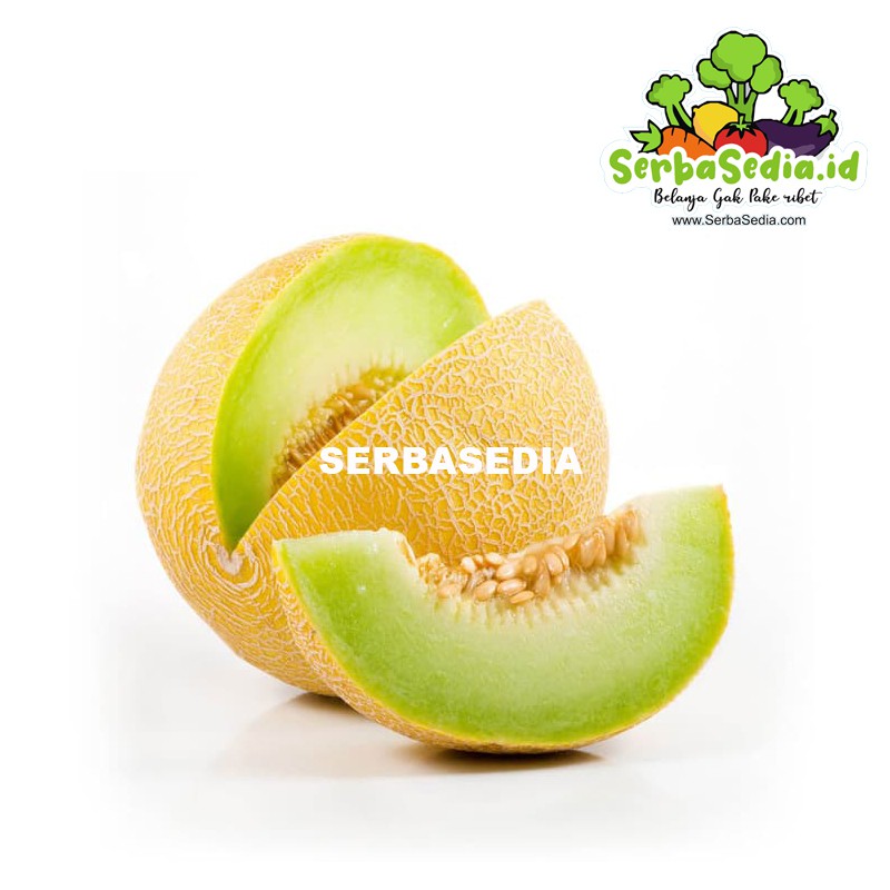 

MELON 1 PCS