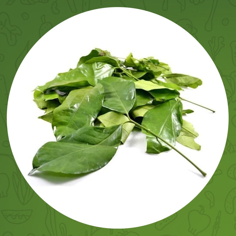 

DAUN MLINJO/DAUN SO 100gr