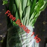 Fumak  uk 1 kg + Gratis Bonus
