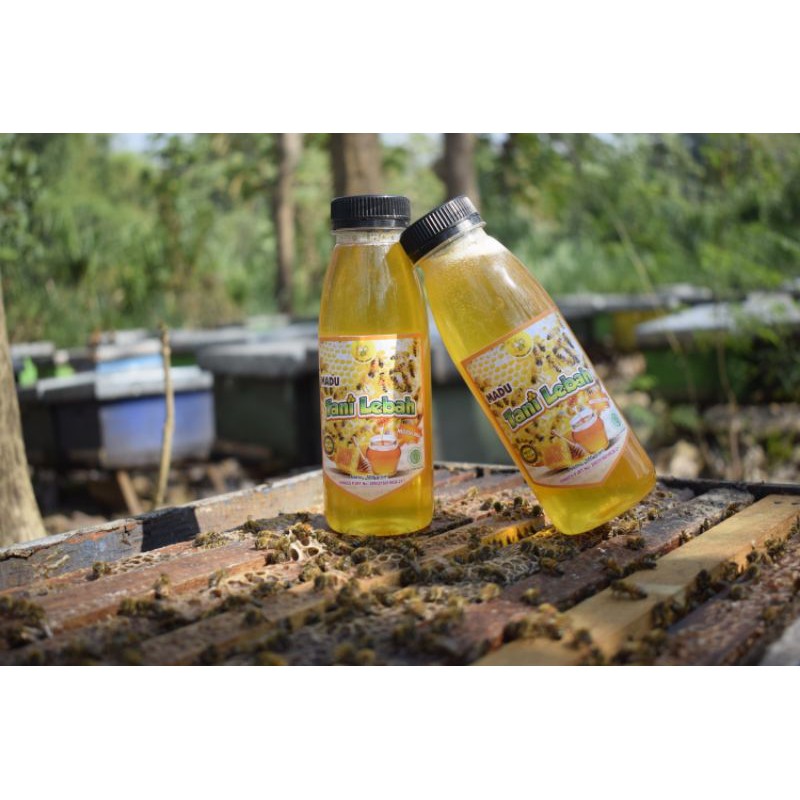 

Madu Murni Multiflora 500 g