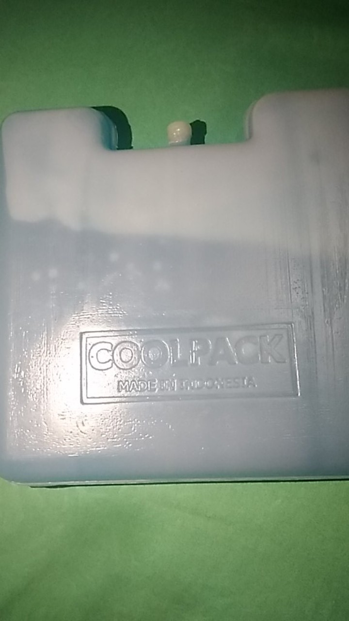Ice Pack Kotak Blue Ice Pack 15x15x2,5cm Pengganti Dry Ice