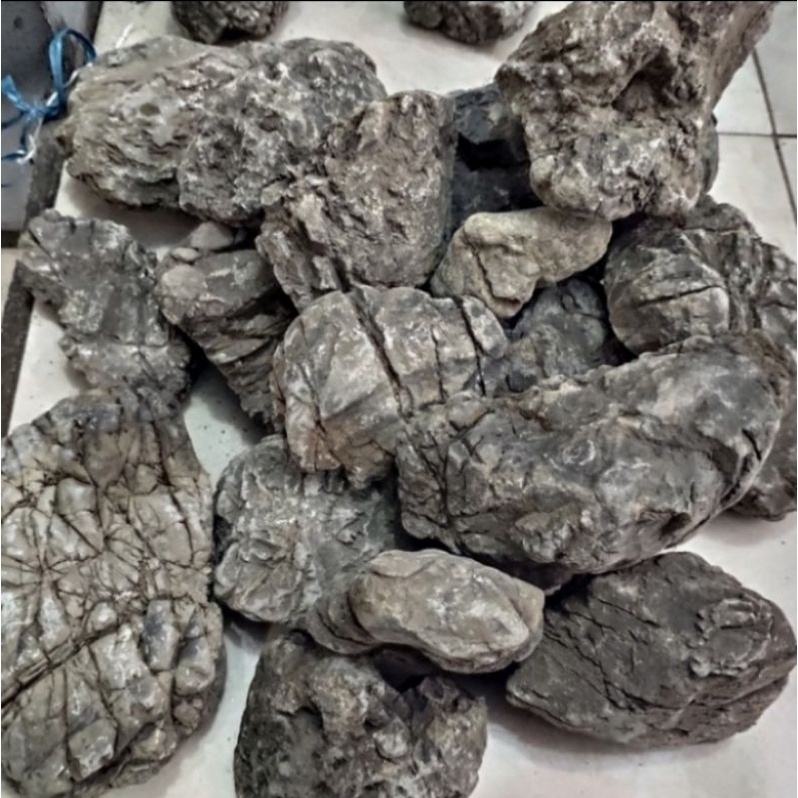 Batu truly truli turly turli untuk aquascape hardscape paludarium aquarium 1 kg