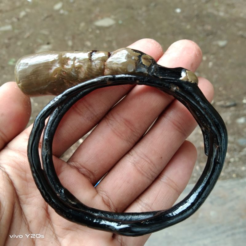GELANG AKAR BAHAR HITAM BONGGOL ASLI