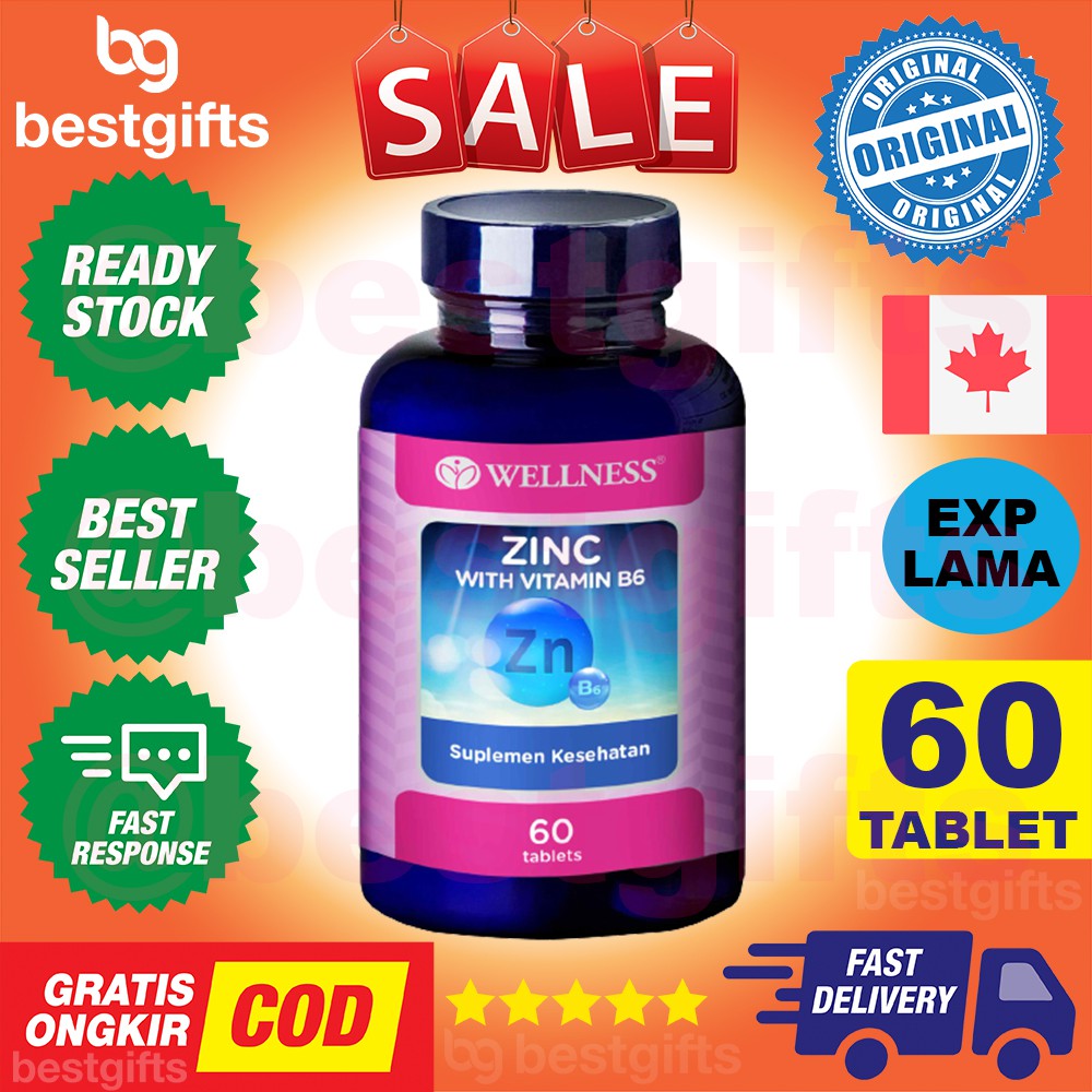 WELLNESS ZINC VITAMIN B6 ANTIOKSIDAN KEKEBALAN TUBUH KOLESTEROL JANTUNG HATI LIVER OTAK 60 TABLET