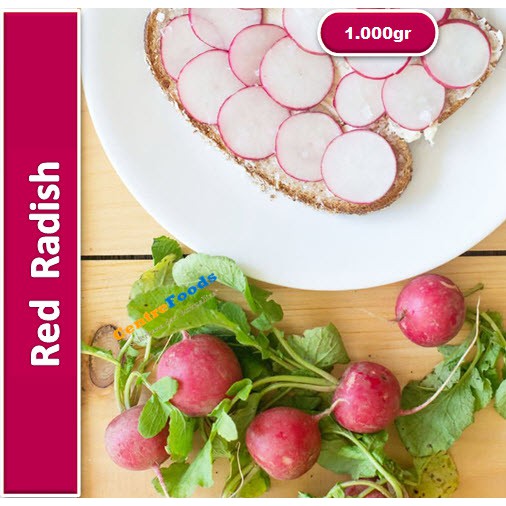 

Red Radish | Lobak Merah [ Harga Per KG ]