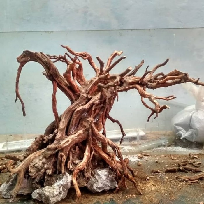 RUMAH TANGGA TAMAN BONSAI AQURAIUM