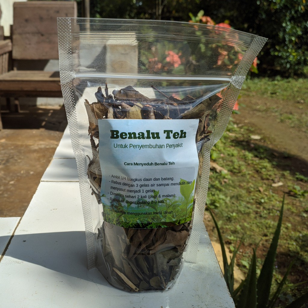 

Benalu Teh Asli Pagilaran - Teh Herbal Alternatif untuk Penderita Kanker