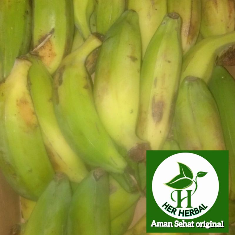 

Buah pisang batu kluthuk Tua Mau matang satu kilo
