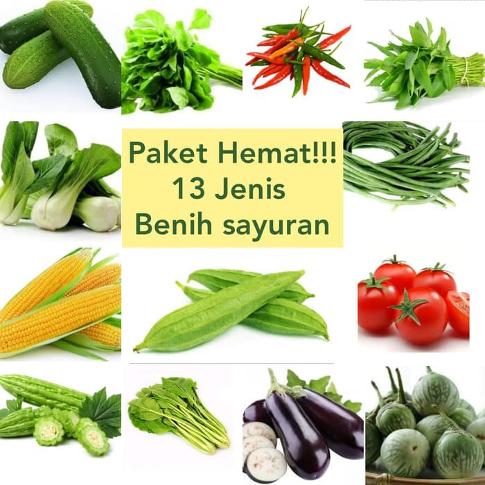 TERBARU - PAKET HEMAT!!! BENIH SAYURAN 13 JENIS BIBIT SAYUR DAN BUAH