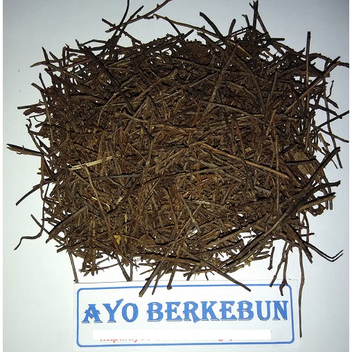 Media Tanam Pakis - Akar Pakis Cacah - Media Tanam Anggrek - Anthurium - Aglonema - Philodendron