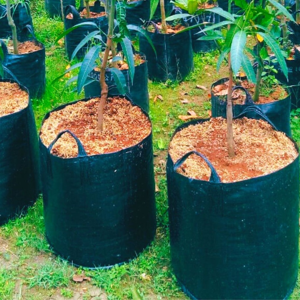 Planter Bag Eco Pack 50 Liter Green HDPE Original Kualitas Ekspor Tabulampot