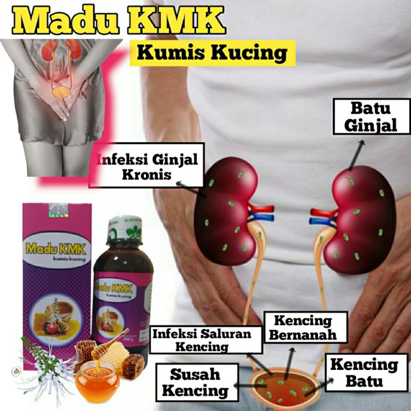 Madu KMK Kumis Kucing Original Obat Batu Ginjal Prostat Infeksi Kandung Kemih Nyeri Pinggang