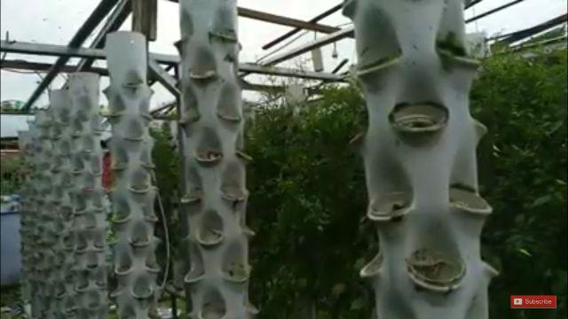 Media Tanam Hidroponik Rockwool Merk Cultilene Asli Ukuran 21 X 15 X 7.5 Cm 1/8 Slab Rockwoll