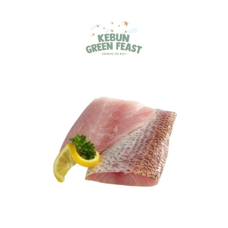 

Ikan Kakap Merah Frozen - Fillet Fresh Red Snapper