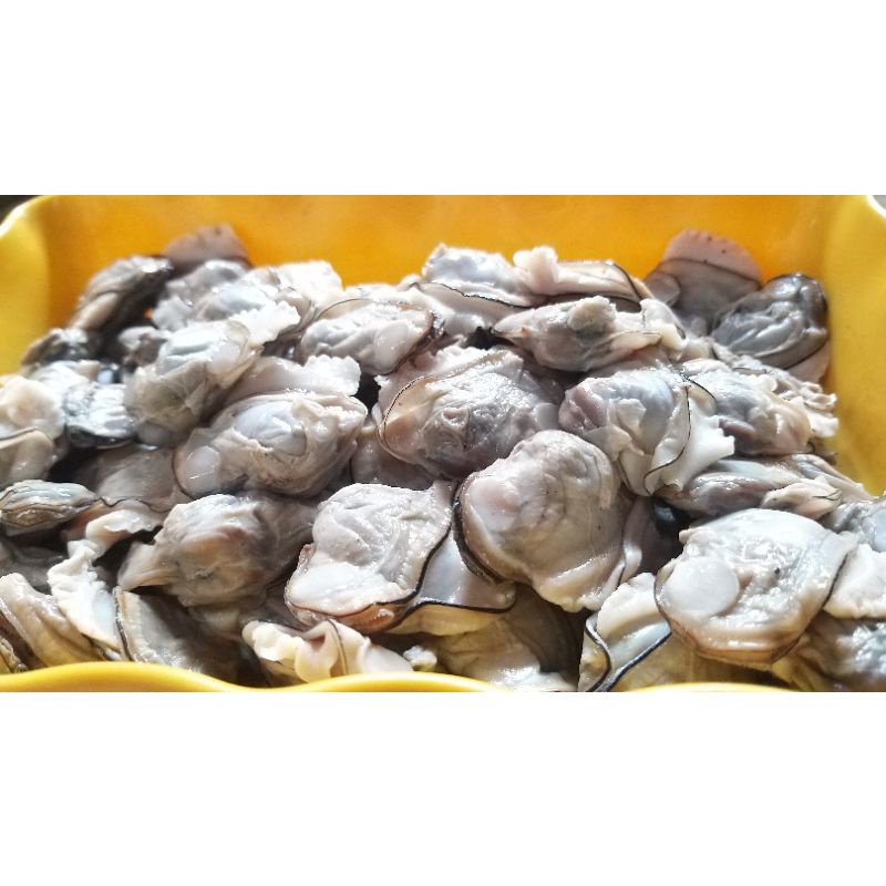 

DAGING TOE BUMBU KUNING SIAP GORENG