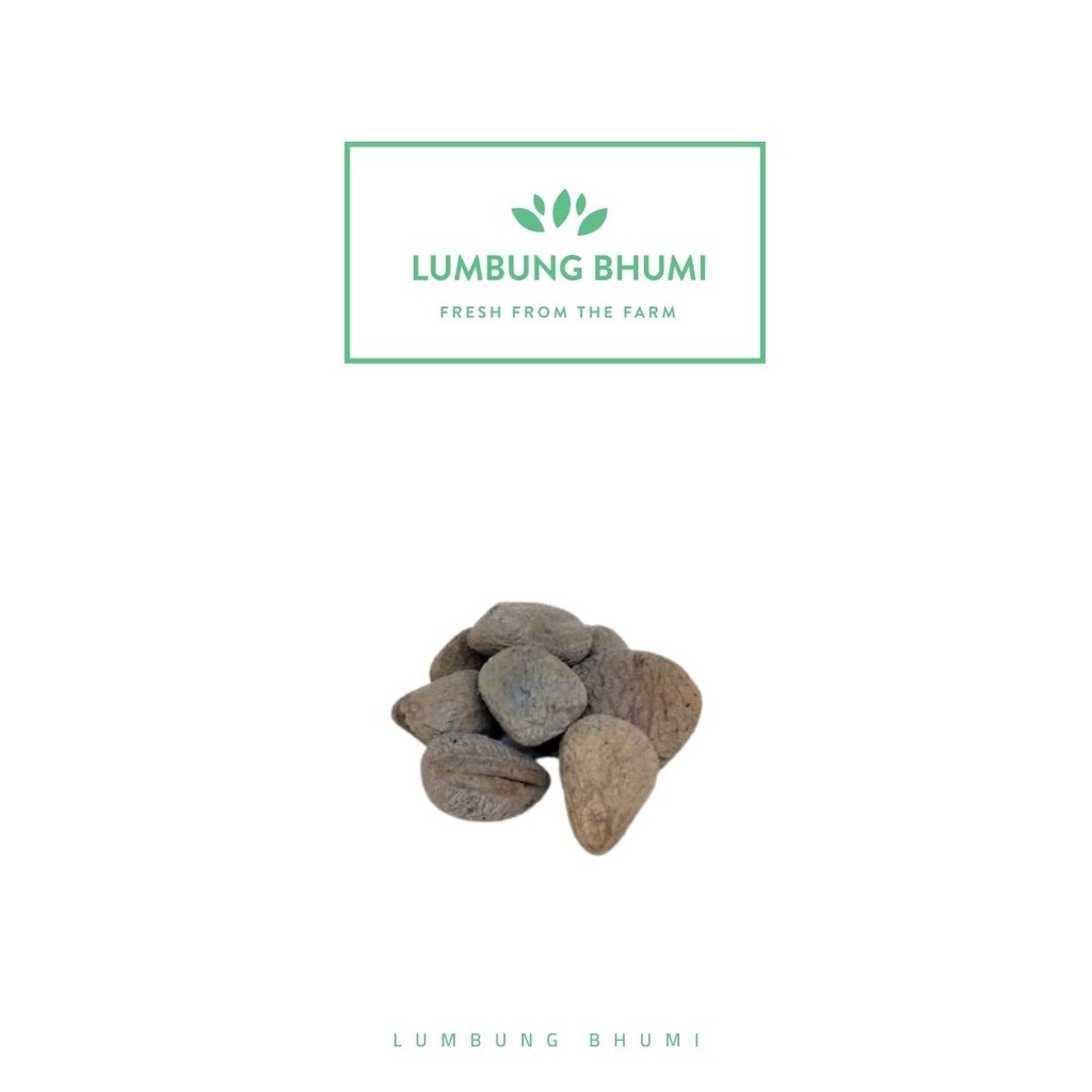 

Lumbung Bhumi - Kluwek 250 Gr ( Bumbu Dapur )