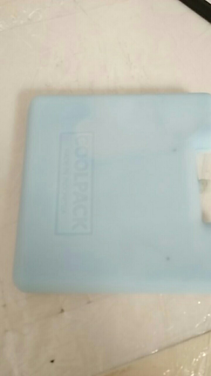 Ice Pack Kotak Blue Ice Pack 15x15x2,5cm Pengganti Dry Ice